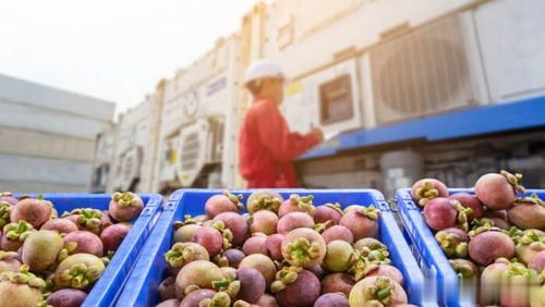 泰国2023水果及其产品出口目标为444万吨 增长10