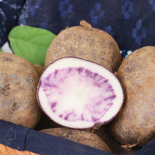 超级新品 乌洋芋 5斤 新鲜蔬菜 马铃薯 七彩土豆紫色 可开发票