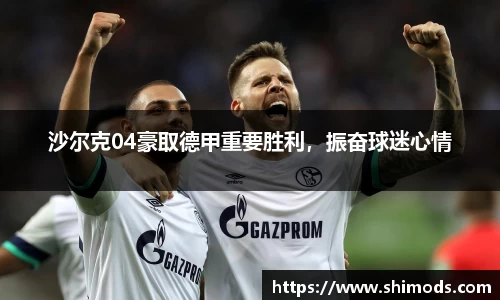 沙尔克04豪取德甲重要胜利，振奋球迷心情