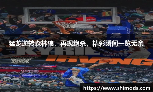 威廉希尔体育
