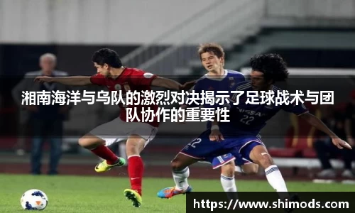 威廉希尔williamhill官方网站